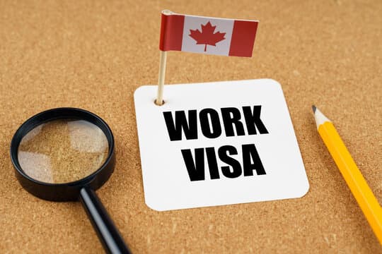 Professional working abroad